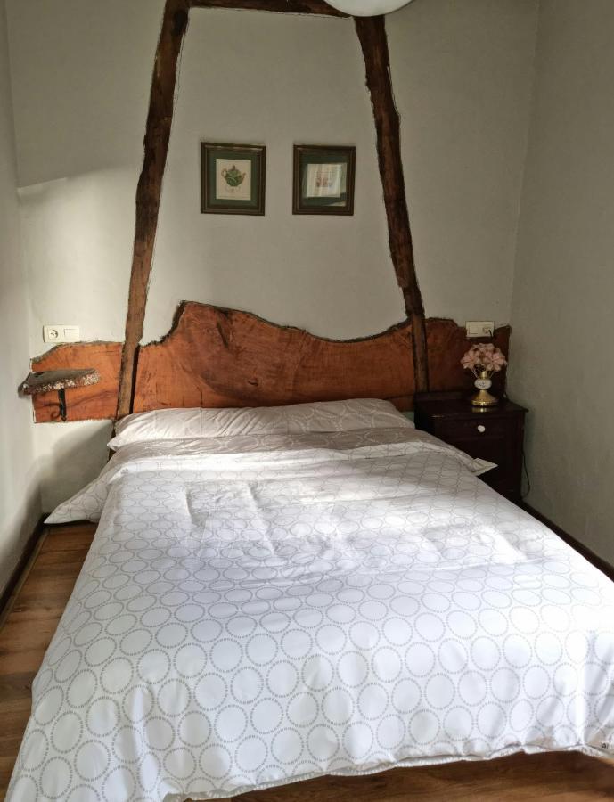 Corias Casona Junto Al Narcea Villa Dış mekan fotoğraf