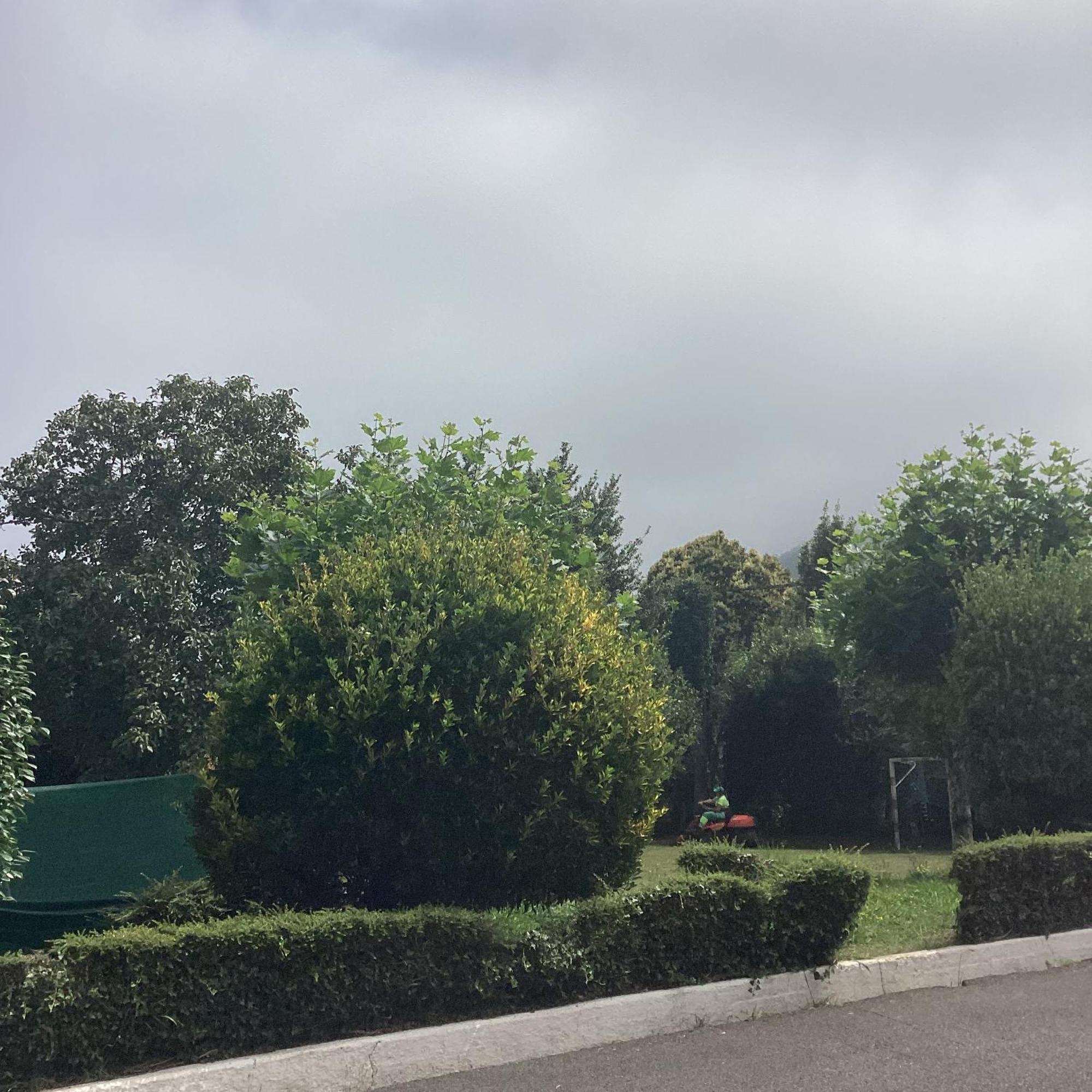 Corias Casona Junto Al Narcea Villa Dış mekan fotoğraf